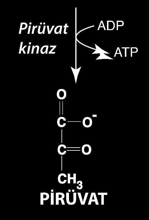 Kaynak: