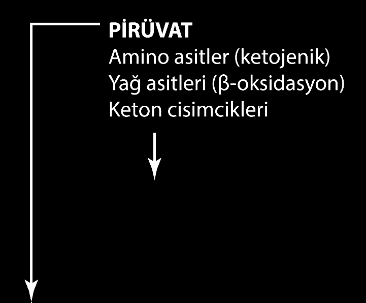 Ekzotermik reaksiyon. Irreversibl.