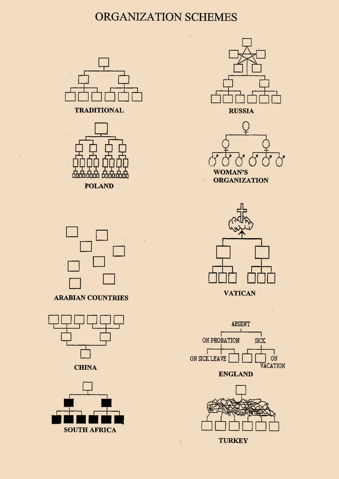 Organizasyon Şeması