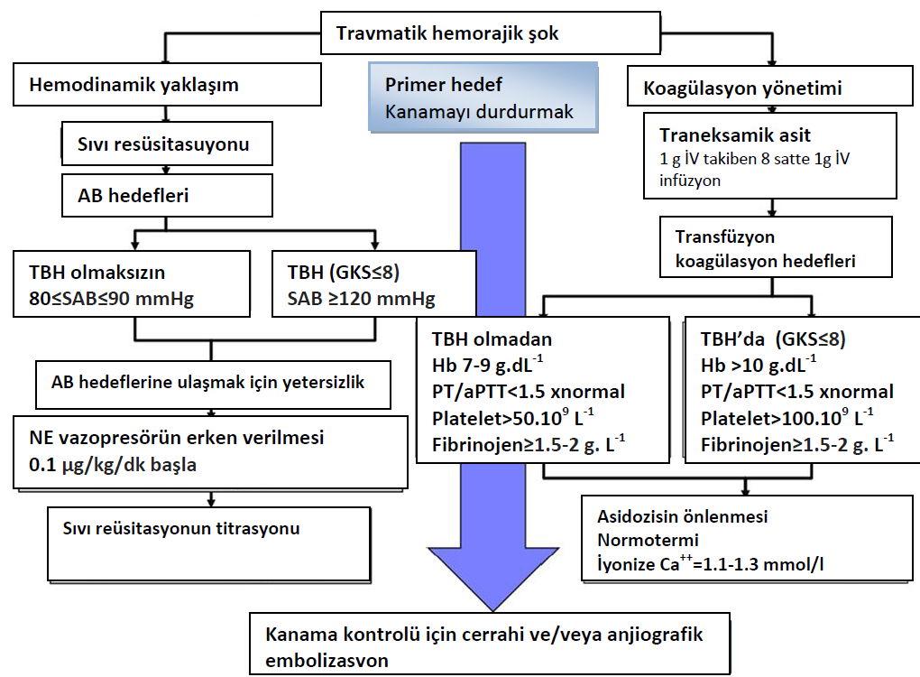 Şekil 1. Travmatik hemorajik şokun başlangıç yönetiminin akış şeması. Travmatik hemorajik şokun akut fazında, tedavi önceliği kanamayı durdurmak içindir.