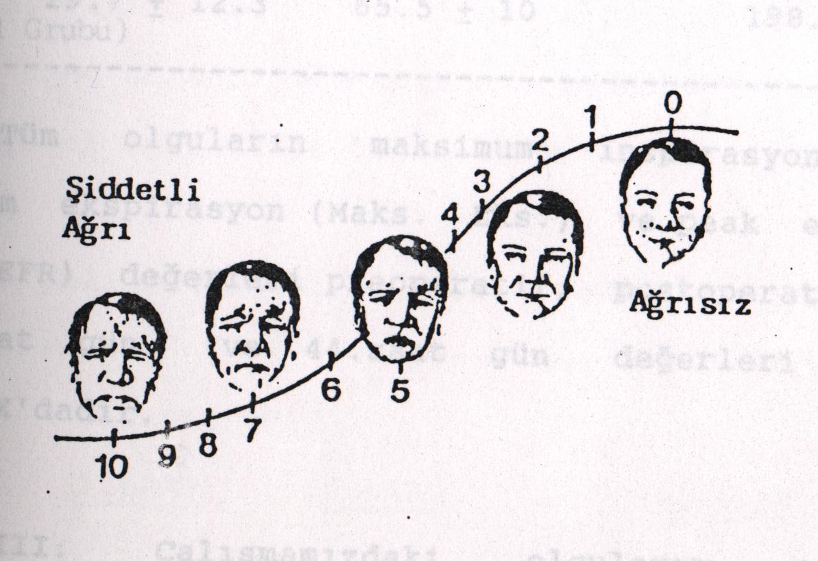 VAS (5 Farklı