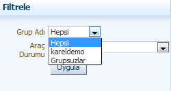 Özet Bilgiler bölümünde aracın güncel konum bilgileri, kimlik, sefer ve görevli bilgileri bulunur. 4.1.