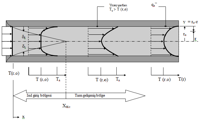 Şekil 4.1. Isıtılmış bir boru içerisinde ısıl sınır tabakanın gelişimi (Incropera and DeWitt 20