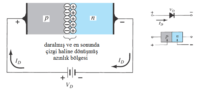 Şekil 2 Yarıiletken diyot iyotun çalışmaı, kutuplanmaına bağlı olarak uzay yük bölgeinin (SCR) genişleyip daralmaı prenibi üzeredir.