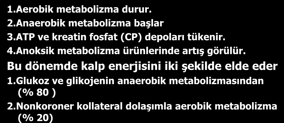 Aortik kros klemp konduktan sonra 1.Aerobik metabolizma durur. 2.Anaerobik metabolizma başlar 3.ATP ve kreatin fosfat (CP) depoları tükenir. 4.