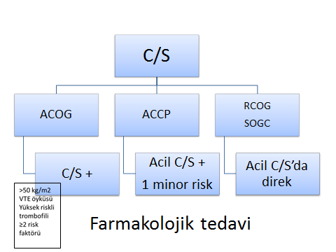 29 y, G: 2, P: 1 ve Y: 1 38 hf, 3-4 cm makad geliş OLGU Acil C/S a alınmış. Postop 1. günde tab Postop 2.günde akut tonsillit tanısıyla RV Postop 19.