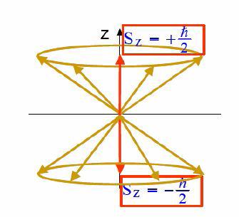 2.3. Manyetik Rezonans Atom çekirdeğinin temel yapıları olan proton ve nötronlar kendi eksenleri etrafında dönerler. Buna spin hareketi adı verilir.