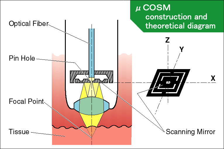 Micro Confocal Scanning Microscope Optical