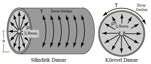 370 Selmin TOPLAN r Şekil 12: Silindirik ve küresel damarda gerim (duvar gerilimi) 3.