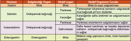 Midede oluşan kimüsün Oniki parmak bağırsağına (Duedonum)geçmesiyle, bağırsak epiteli kana sekretin, kolesistokinin ve enterogastrin hormonları salgılanır.