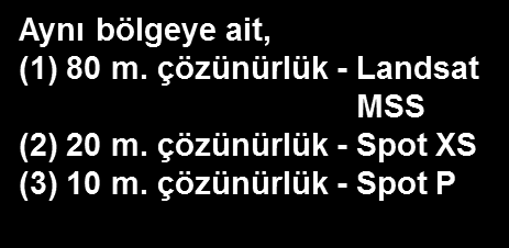 Ticari uydular bir metreden kilometrelere varan çözünürlükler sağlamaktadırlar.