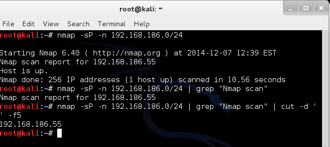 NMAP Ping Taraması