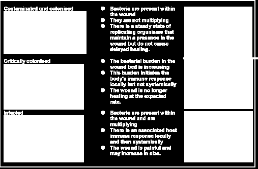 Yarada replike olmayan veya doku hasarı yapmadan replikasyon Endojen flora ve/veya çevre kaynaklı Tüm kronik yaralar kontaminedir Yara iyileşmesini geciktirmez Yara yatağında bakteri yükü artmıştır