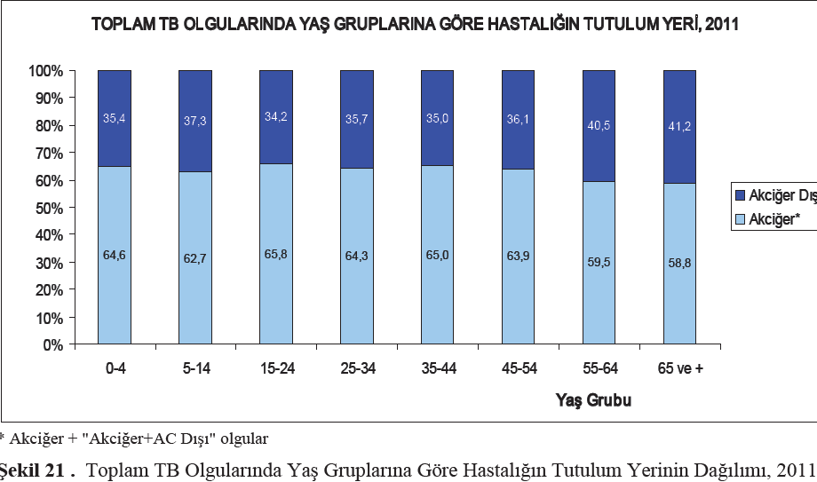 T.C Sağlık Bakanlığı, Türkiye Halk Sağlığı Kurumu Başkanlığı, Türkiye de Verem Savaşı 2013 Raporu