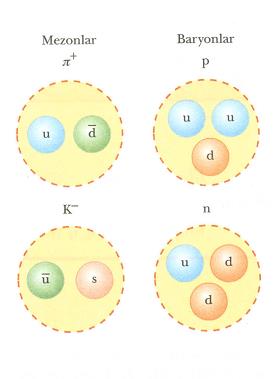 Hadronlar: Güçlü etkileşmeye girerler. Mezonlar (spini tam sayı olanlar) ve baryonlar (spini yarım tamsayı olanlar olmak üzere iki grupturlar.