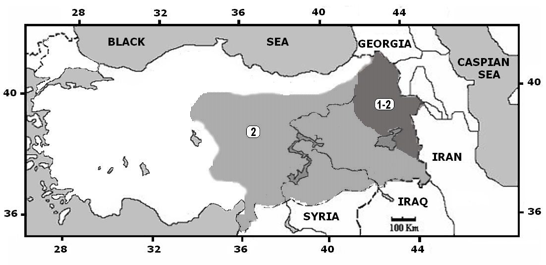 Microtus arvalis dağılım