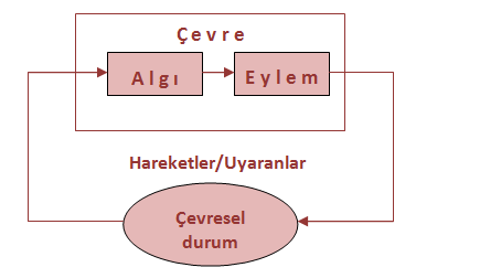 eşiğinin üzerinde olması durumunda beyin bunları işler (algılar). Çevreden organizmaya ulaşan bütün fiziksel uyarıcılar, duyu organlarında kimyasal ya da elektriksel değişikliklere sebep olur.