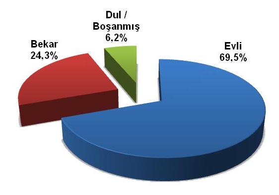 GörüĢülen bireylerin