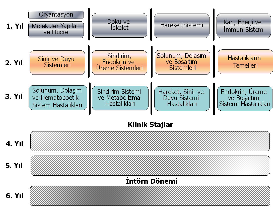 GÜLHANE TIP FAKÜLTESİ EĞİTİM