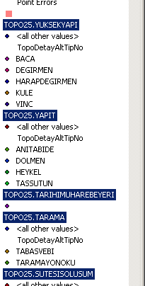 Topoğrafik detaylar arası ilişkilerin tanımlanması detaylar seçili ve ekrana sığacak kadar büyütülmüş halde görüntülenmektedir (ArcGIS, 2005). Şekil 5.