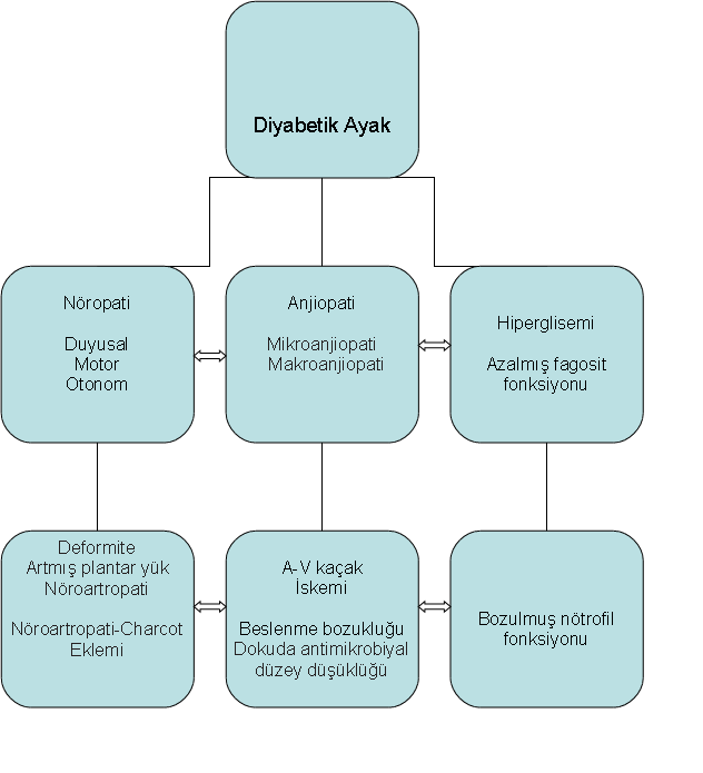 Ağrı duyusunun azalması Travma riskinin artması Deride kuruluk / çatlak Yara gelişmesi Diyabetik ayak infeksiyonu Ekstremite kaybı Yaşam kaybı Yaranın kronikleşmesi Kolajen yapımında yetersizlik -