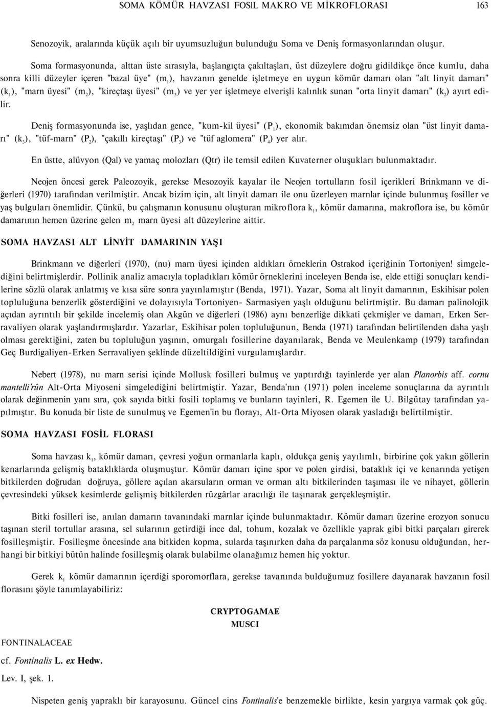 uygun kömür damarı olan "alt linyit damarı" (k 1 ), "marn üyesi" (m 2 ), "kireçtaşı üyesi" (m 3 ) ve yer yer işletmeye elverişli kalınlık sunan "orta linyit damarı" (k 2 ) ayırt edilir.