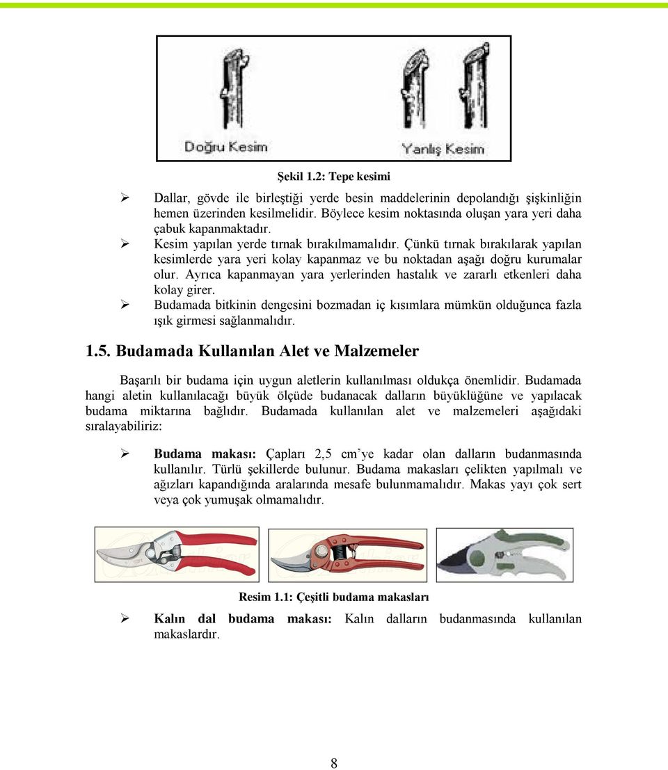 Ayrıca kapanmayan yara yerlerinden hastalık ve zararlı etkenleri daha kolay girer. Budamada bitkinin dengesini bozmadan iç kısımlara mümkün olduğunca fazla ıģık girmesi sağlanmalıdır. 1.5.