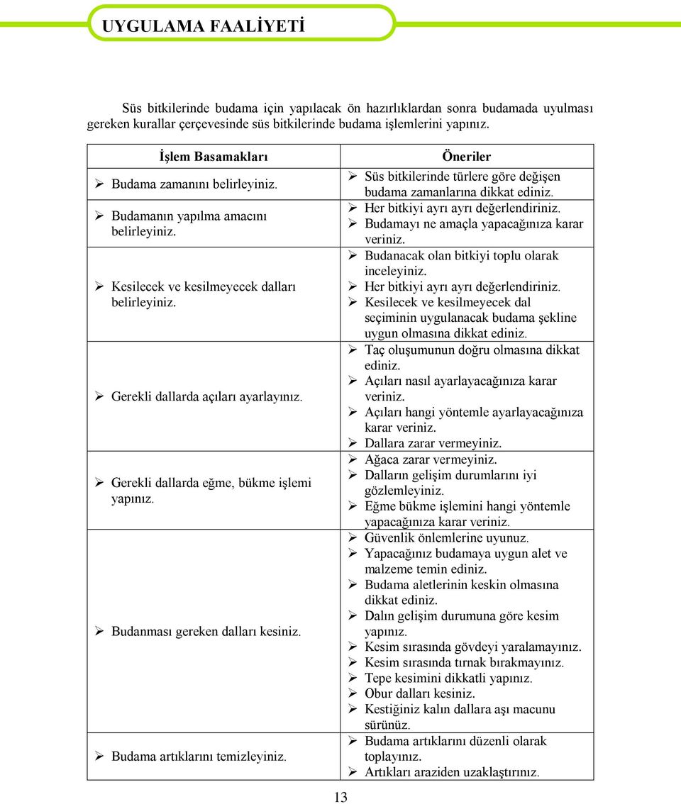 Gerekli dallarda eğme, bükme iģlemi yapınız. Budanması gereken dalları kesiniz. Budama artıklarını temizleyiniz. 13 Öneriler Süs bitkilerinde türlere göre değiģen budama zamanlarına dikkat ediniz.