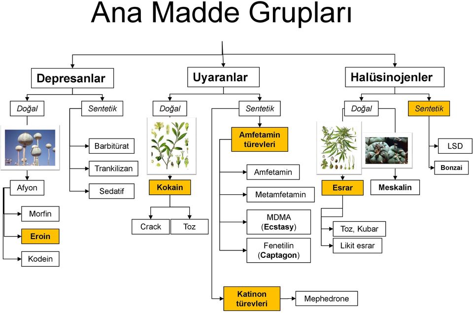 Bonzai Afyon Sedatif Kokain Metamfetamin Esrar Meskalin Morfin Eroin Kodein Crack