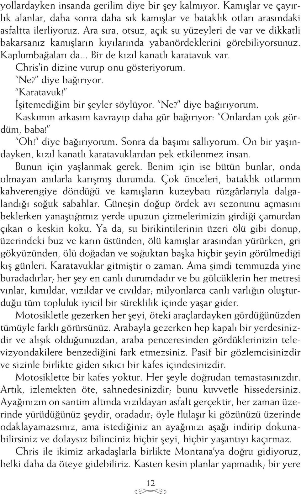 Chris in dizine vurup onu gösteriyorum. Ne? diye bağırıyor. Karatavuk! İşitemediğim bir şeyler söylüyor. Ne? diye bağırıyorum. Kaskımın arkasını kavrayıp daha gür bağırıyor: Onlardan çok gördüm, baba!