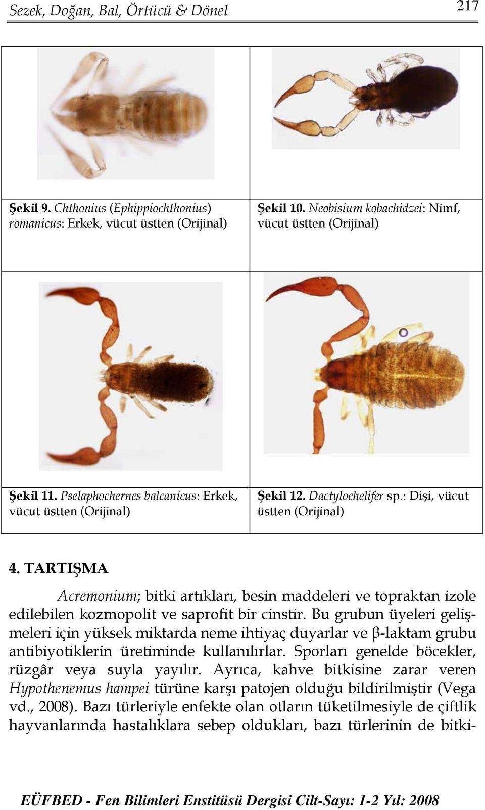 TRTIŞM cremonium; bitki artıkları, besin maddeleri ve topraktan izole edilebilen kozmopolit ve saprofit bir cinstir.