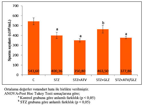 SPERM ANALİZLERİ 1. Sperm Sayımı Kaudal epididimden izole edilen spermlerle Makler kamerasında sayım.