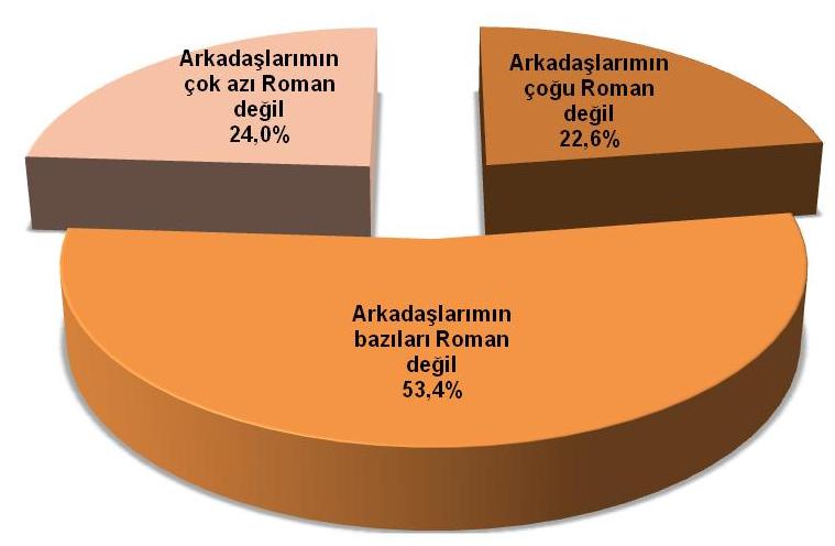 Arkadaşlarınız arasında Roman olmayan kişiler var mı?