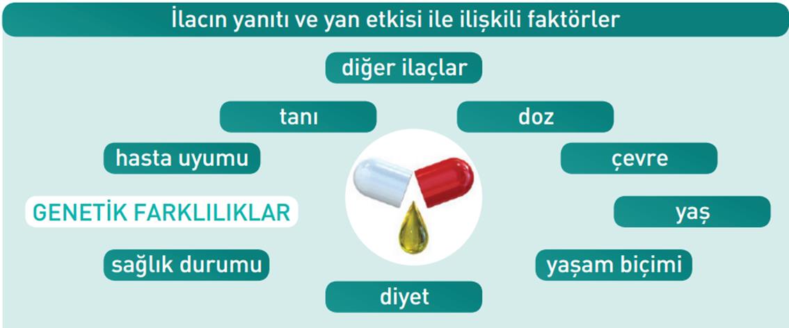 Ülkemizde