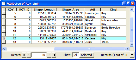 7.2. İdari Sınırlar Karar verme mekanizmasının hızlı ve etkin bir şekilde çalıştırılması, özellikle il bazlı çalışmalarda, idari sınır sorunlarının tamamen ortadan kaldırılmasına bağlıdır.