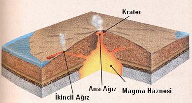 Volkan Şekilleri Volkanik hareketlerin en yoğun olduğu yerler, yerkabuğunun zayıf olduğu noktalar, çatlaklar ve yarıklardır.