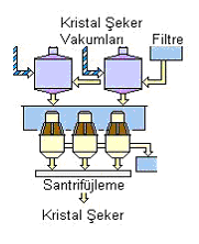 Şekil 2.5 Kristal şekerlerin santrifüjlenmesi (Anonim, 2011c) Santrifüjlerden çıkan şeker kurutma ünitesine nakledilir. Şekil 2.6 da kurutma ünitesi görülmektedir.