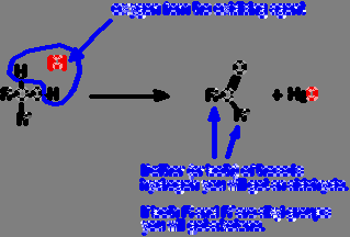 N N Şekil 2.7 Pirazinin kimyasal yapısı (Bayrak 2006) 2.2.3 Aldehitler Otsu kokuları vardır. Yağ asitlerinin enzimatik oksidasyonu sonucunda oluşmaktadırlar. Aldehit oluşum reaksiyonu şekil 2.