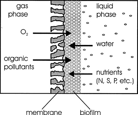 Gaz faz Sıvı faz Su Organik kirleticiler Besinler (N,S,P vb.) Membran Biyofilm Şekil 2.32 Membran biyoreaktör proses şeması (Mudliar vd.