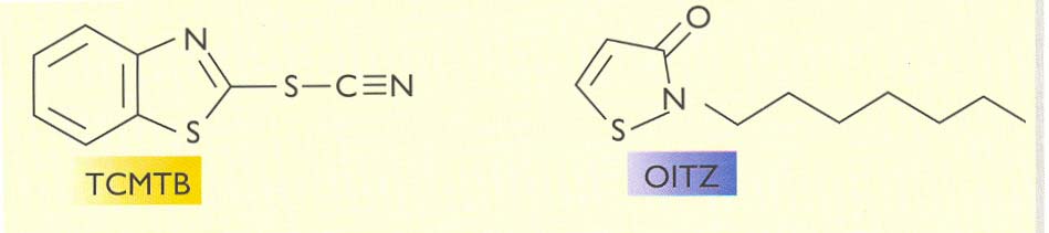 36 3.1.6. Fungisidler Araştırmada kontrol amacıyla piyasada çok yaygın olarak kullanılan farklı iki aktif bileşene ait fungisidler kullanılmıştır. Bunlardan birincisi N-OITZ esaslı olan fungisitdir.
