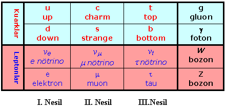 Standart Model Temel parçacıkların nasıl düzenlendiğini ve farklı kuvvetler aracılığında birbirleri ile nasıl etkileştiğini açıklayan bir teoridir.