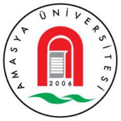 Amasya Üniversitesi Eğitim Fakültesi ergisi 1(1), 1-17, 2012 http://dergi.amasya.edu.