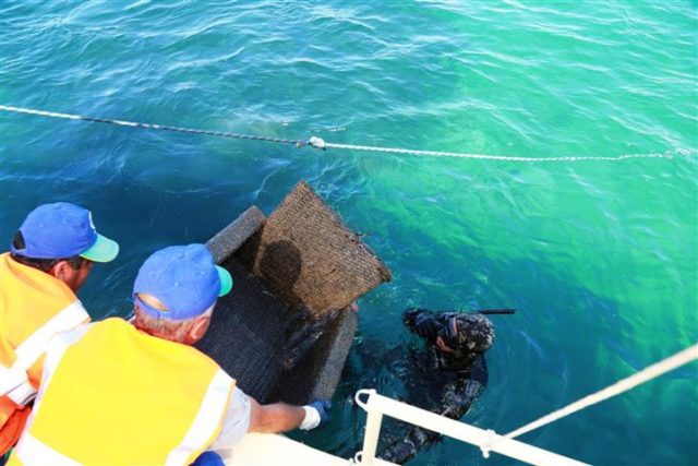 Denize en çok MAVİ yakışır sloganıyla Bodrum Belediyesi tarafından bu yıl ikinci kez düzenlenen Bodrum Deniz Dibi Temizlik Kampanyası yerli yabancı turistlerin de sıklıkla denize girip güneşlendiği