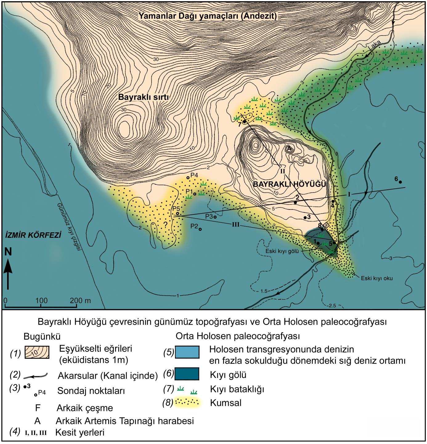 Bayraklı Höyüğü (İzmir) Çevresinin Holosen deki Jeomorfolojik Gelişimi Holocene Geomorphological Evolution of Coastal Environment Around Bayraklı Mound (İzmir) 147 Şekil 3.