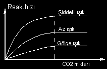 A-Etken madde miktarı reaksiyon hızı arasındaki ilişki. a-h2o-co2 Reaksiyon hızını belirleyen ortamda en az bulunan faktördür.