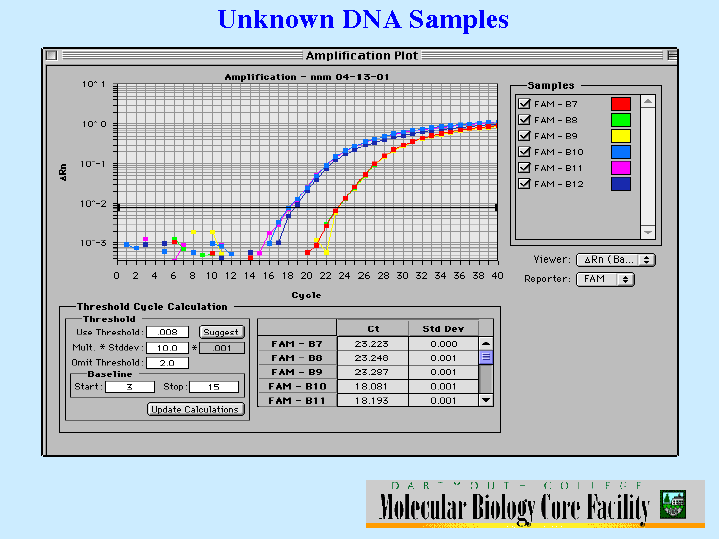 Real-time PCR ile DNA