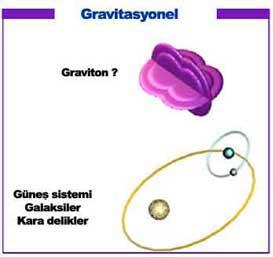 1. GİRİŞ Ali EKENEL çekmelerini sağlar. Evrendeki galaksilerin, yıldızların birbirlerinin yörüngelerinde kalmalarının nedeni bu kuvvettir. Kuvvet taşıyıcısı gravitondur (Şekil 1.6)