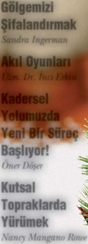 Ocak 2013 Y l:54 Say :636 (KDV Dahil) 5 TL Gölgemizi Şifalandırmak Sandra Ingerman Akıl Oyunları Uzm. Dr.