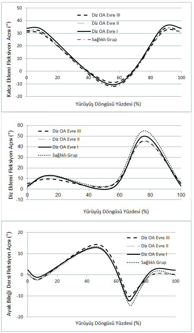 Taş S, Baki A, Erdoğanoğlu Y, Akbaş E, Kınıklı Gİ, Erden Z, Yiğiter Bayramlar K. Şekil 1. Ayak bileği, diz ve kalça eklemininin sagital düzlemde yürüme döngüsü içindeki açısal değişiklikleri.
