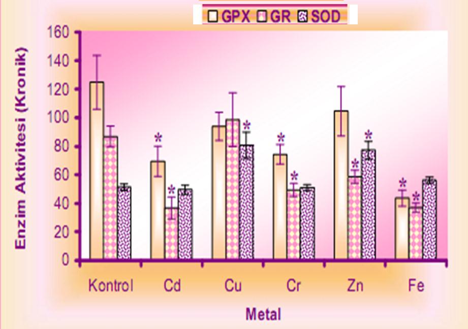 Metal etkisinde kalan balıklarda serum hormon düzeylerindeki